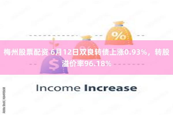 梅州股票配资 6月12日双良转债上涨0.93%，转股溢价率96.18%