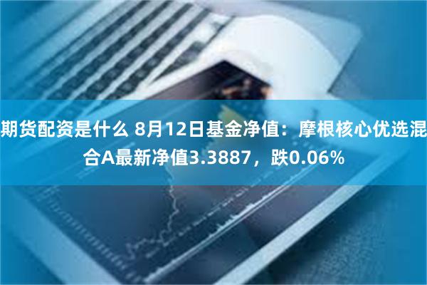 期货配资是什么 8月12日基金净值：摩根核心优选混合A最新净值3.3887，跌0.06%