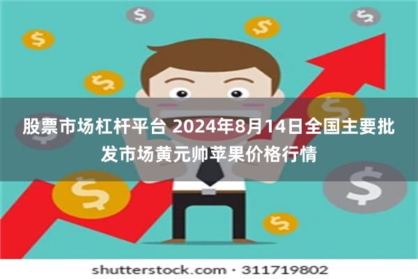 股票市场杠杆平台 2024年8月14日全国主要批发市场黄元帅苹果价格行情