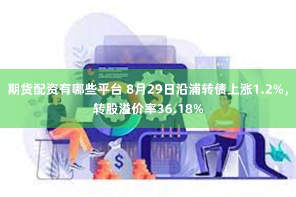 期货配资有哪些平台 8月29日沿浦转债上涨1.2%，转股溢价率36.18%