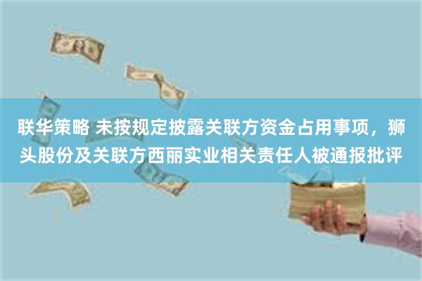 联华策略 未按规定披露关联方资金占用事项，狮头股份及关联方西丽实业相关责任人被通报批评