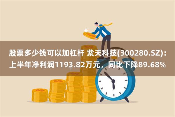 股票多少钱可以加杠杆 紫天科技(300280.SZ)：上半年净利润1193.82万元，同比下降89.68%