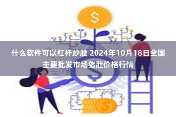 什么软件可以杠杆炒股 2024年10月18日全国主要批发市场猪肚价格行情