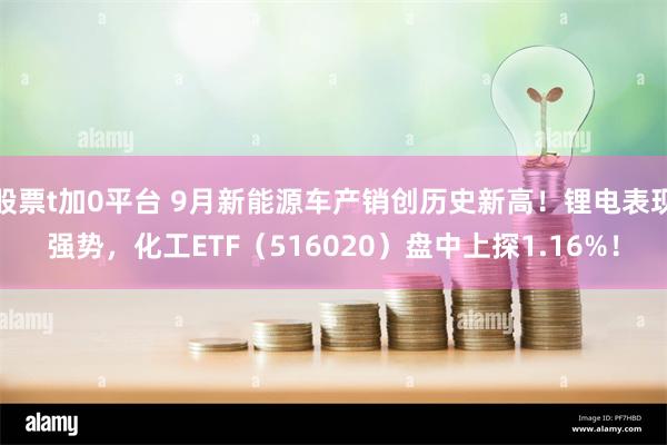 股票t加0平台 9月新能源车产销创历史新高！锂电表现强势，化工ETF（516020）盘中上探1.16%！