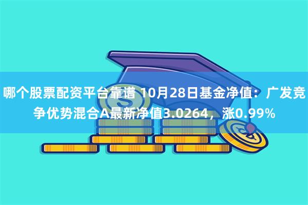 哪个股票配资平台靠谱 10月28日基金净值：广发竞争优势混合A最新净值3.0264，涨0.99%