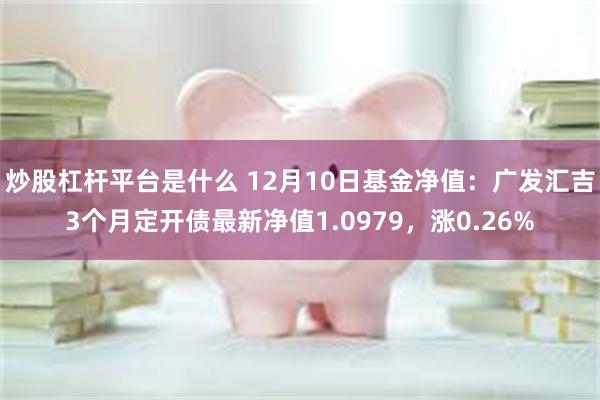 炒股杠杆平台是什么 12月10日基金净值：广发汇吉3个月定开债最新净值1.0979，涨0.26%