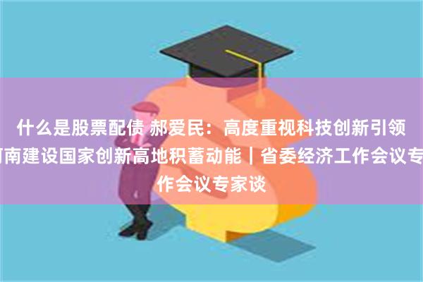 什么是股票配债 郝爱民：高度重视科技创新引领 为河南建设国家创新高地积蓄动能｜省委经济工作会议专家谈