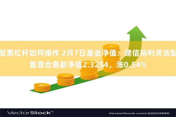 股票杠杆如何操作 2月7日基金净值：建信裕利灵活配置混合最新净值2.3254，涨0.54%