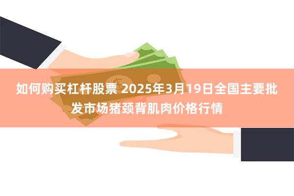 如何购买杠杆股票 2025年3月19日全国主要批发市场猪颈背肌肉价格行情